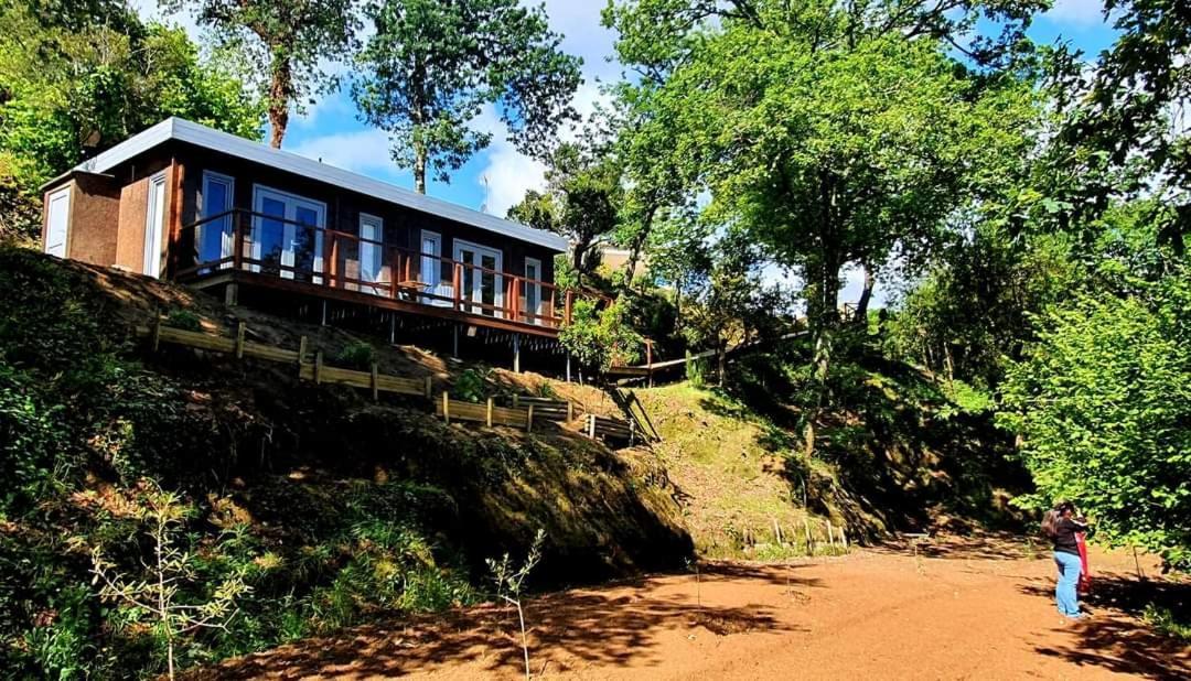 Quinta Mata Da Se Hotel Miranda do Corvo Exterior photo